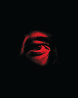 Angst (1983) 4K & Blu-ray Collector's Edition