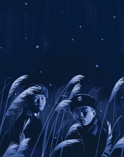 JSA Joint Security Area (2000) Collector's Edition (4K +Blu-Ray +Book +Rigid case +Slipcase +Poster +Artcards)