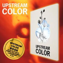 Upstream Color (2013) Collector's Edition (Blu-Ray +Book +Rigid case +Slipcase +Poster +Artcards)