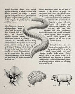 Upstream Color (2013) Collector's Edition (Blu-Ray +Book +Rigid case +Slipcase +Poster +Artcards)