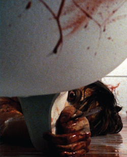 Martyrs Collector's Edition (Beyond Genres #22) (Book + Exclusive Slipcase + 8 lobby cards + A3 poster) (2008)