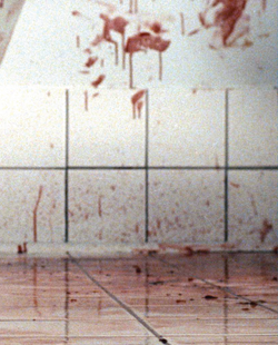Martyrs Collector's Edition (Beyond Genres #22) (Book + Exclusive Slipcase + 8 lobby cards + A3 poster) (2008)