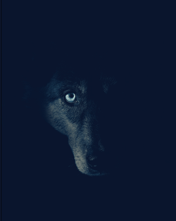 The Aura (2005) Blu-ray