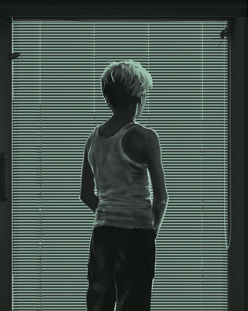 Goodnight Mommy aka Ich Seh, Ich Seh (2014) Collector's Edition (Blu-Ray +Book +Rigid case +Slipcase +Poster +Artcards)