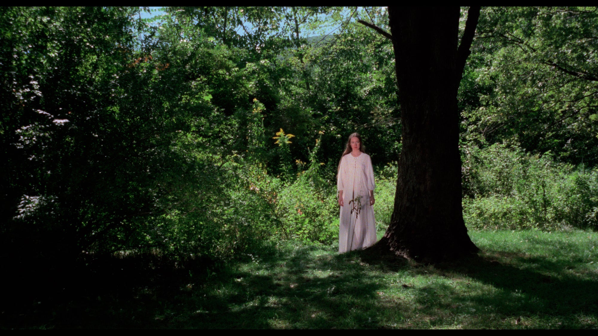 Still from Day Of The Woman: I Spit On Your Grave + I Spit On Your Grave: Deja Vu (1978, 2019) 4K & Blu-ray Collector's Edition