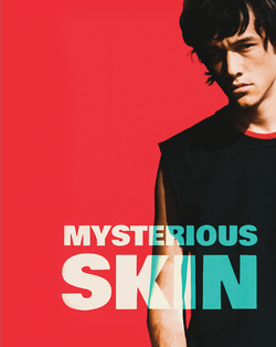 Mysterious Skin (2004) 4K & Blu-ray Collector's Edition + Novel