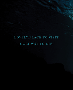 The Reef (2010) Blu-ray