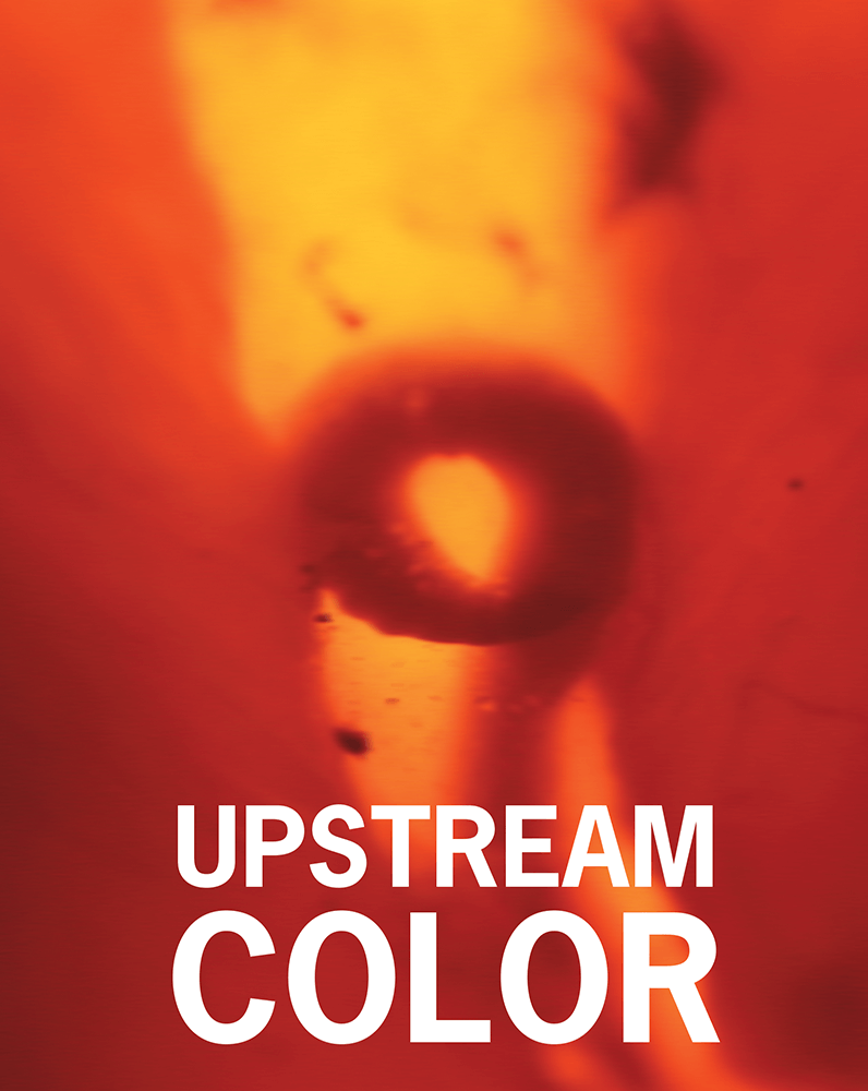 Upstream Color (2013) Collector's Edition (Blu-Ray +Book +Rigid case +Slipcase +Poster +Artcards)