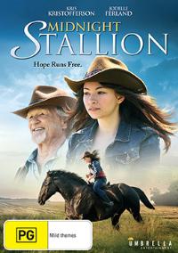 Midnight Stallion